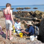 Seashore safari