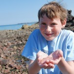 Seashore safari