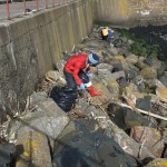 Eyemouth Harbour clean up