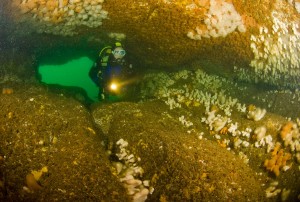 Diver in Cathedral Rock © Len Deeley