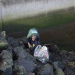 Eyemouth Harbour clean up