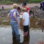 Biosphere project with Eyemouth Primary