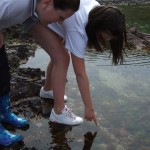 Biosphere project with Eyemouth Primary
