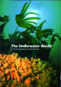 The Underwater World