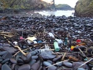 Marine litter is hazardous to humans and wildlife © Georgia Conolly