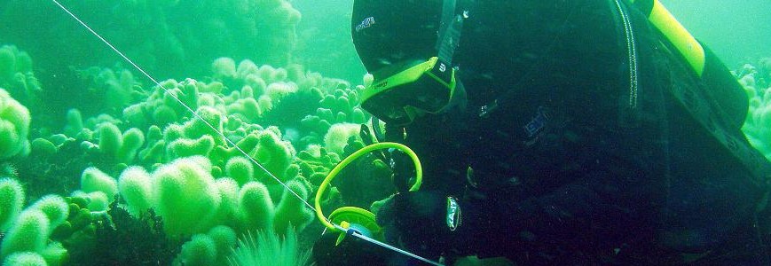 Diver surveying Â© Howard Wood