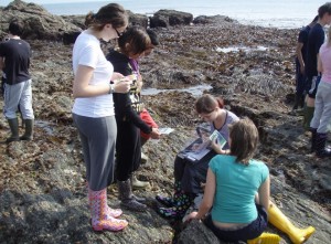 Volunteers on the shore